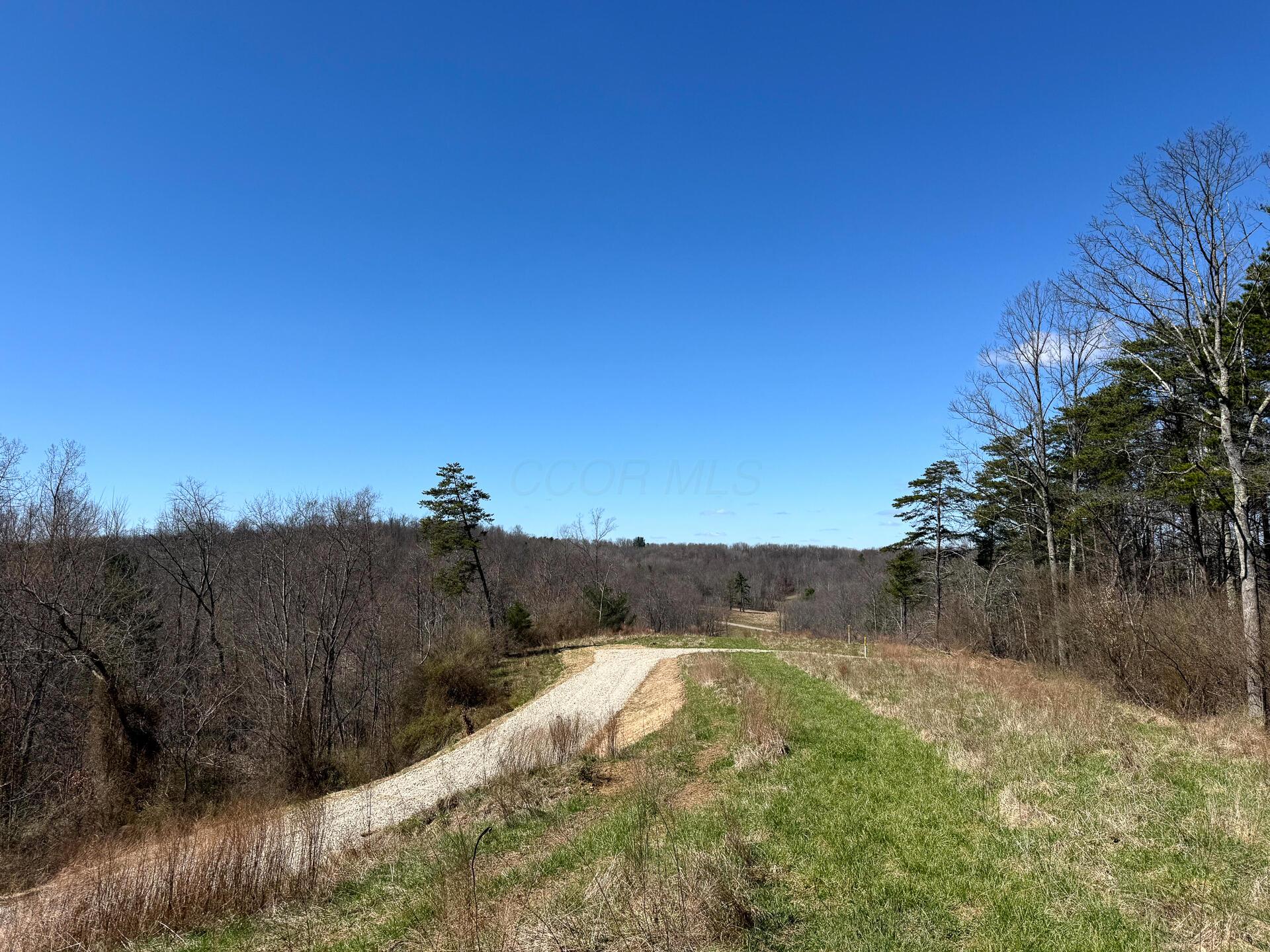 0 Dutch Ridge Road Southeast, Unit WOODS TURKEY RUN TRACT 6) New Lexington, OH 43764 - Photo 8 of 31 CT-8