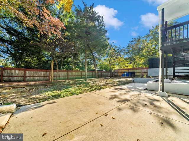a view of a yard with a trees