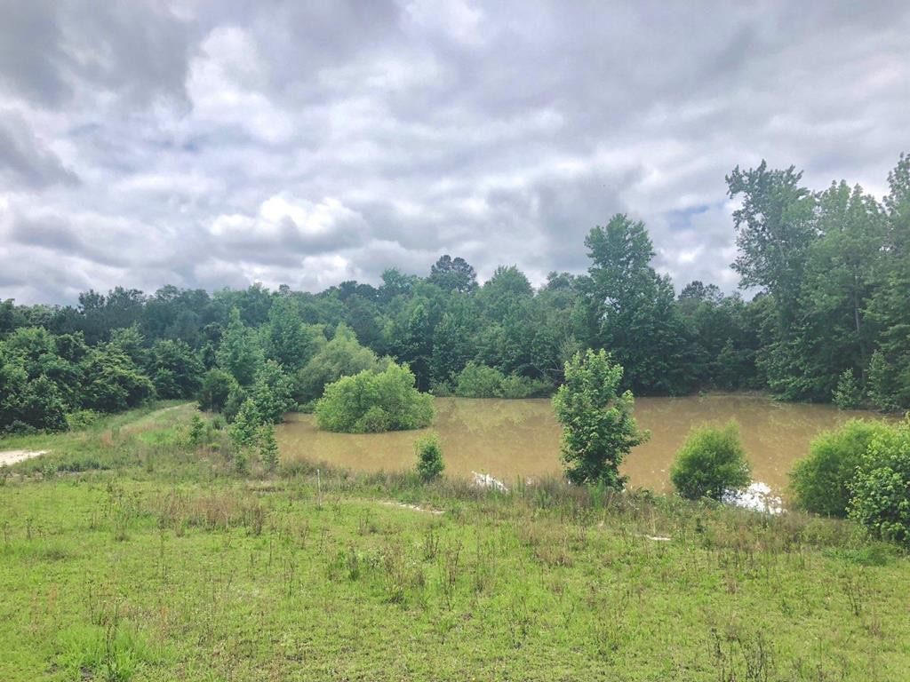 2639 Edgefield Road Trenton, SC 29847 - Photo 2 of 34 Gallery Image 2