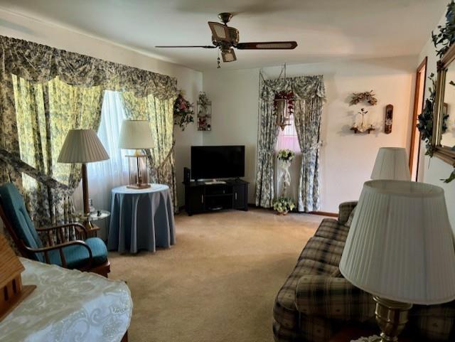 3938 Station Road New Castle, PA 16101 - Photo 8 of 23 a living room with furniture a flat screen tv and a fireplace