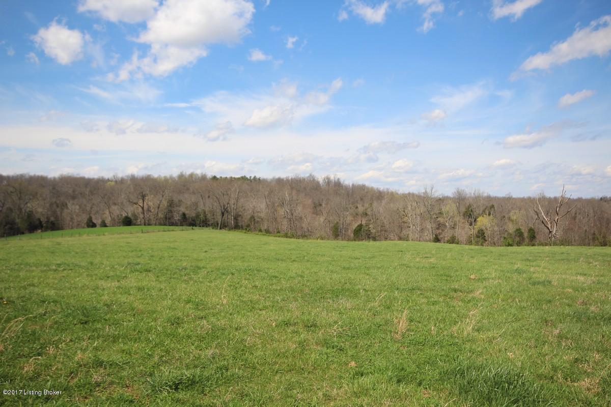 722 Stoneview Church Road Leitchfield, KY 42754 - Photo 18 of 47 722 Stone View12