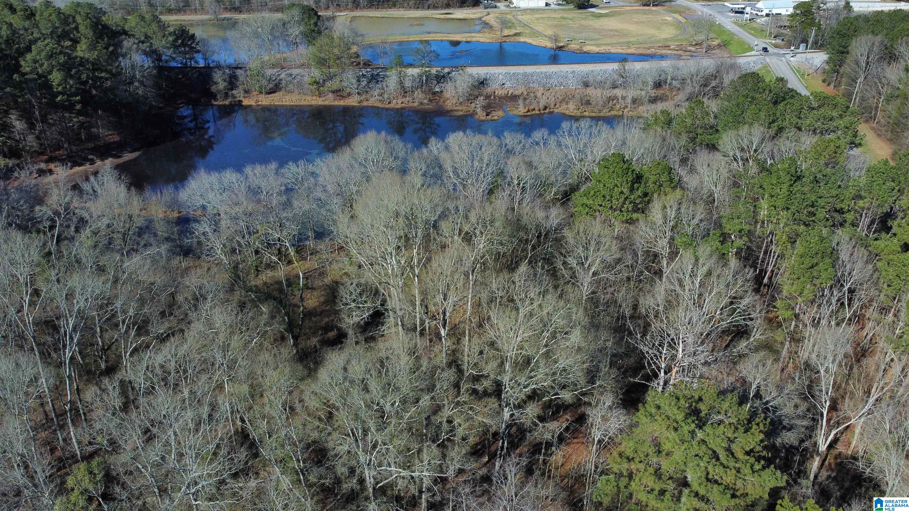 78 Highway Riverside, AL 35135 - Photo 20 of 23