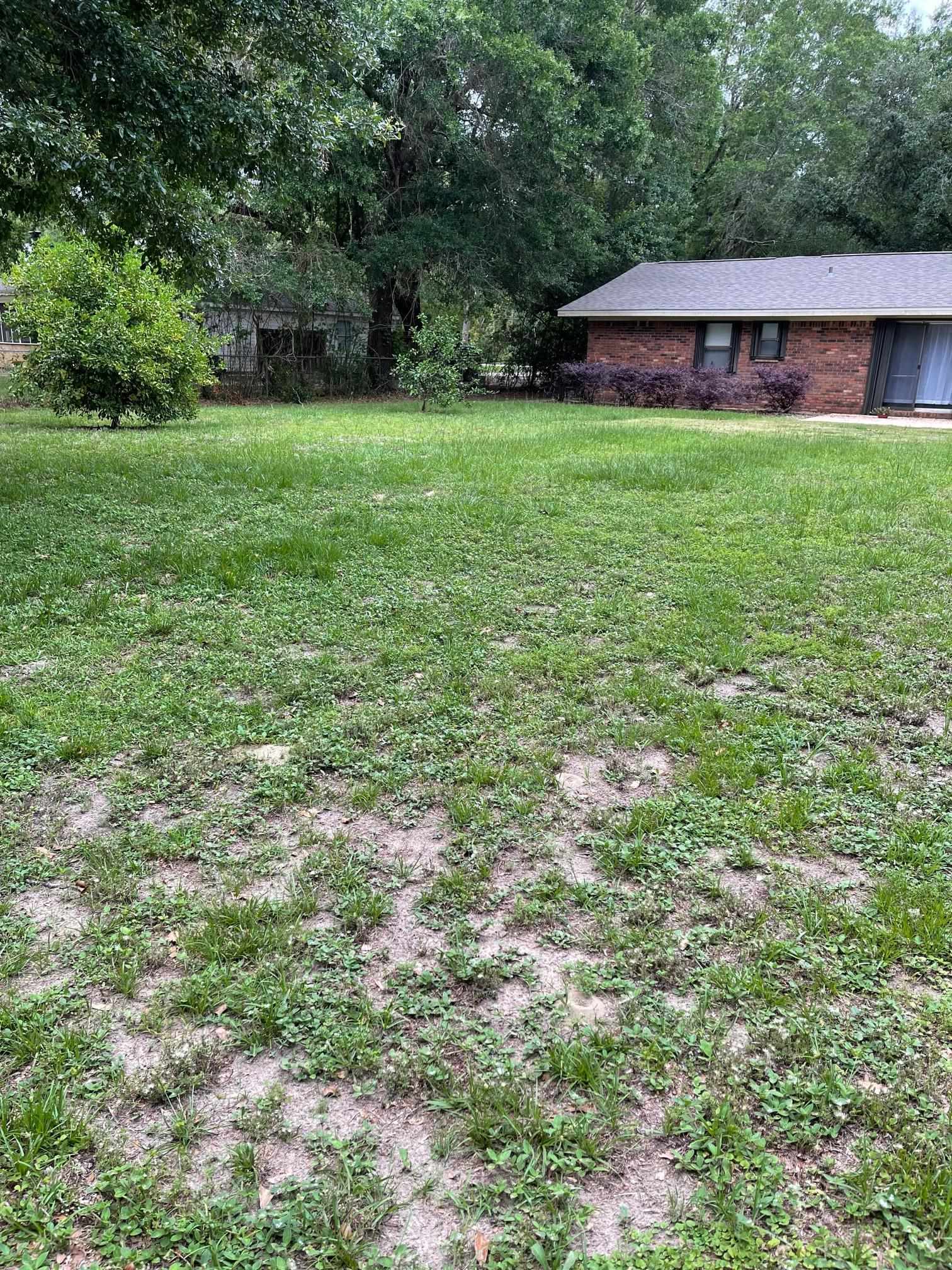 19195 Baldwin County Road 10 Foley, AL 36535 - Photo 21 of 24 Back yard