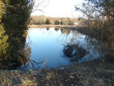 2595 High Bridge Road Wilmore, KY 40390 - Photo 16 of 39 Pond.