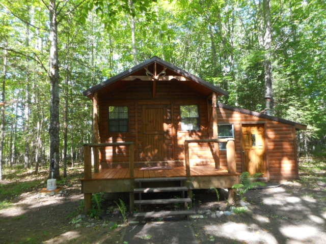 0 Gager Road Curtis, MI 49820 - Photo 14 of 41 Gallery Image 14