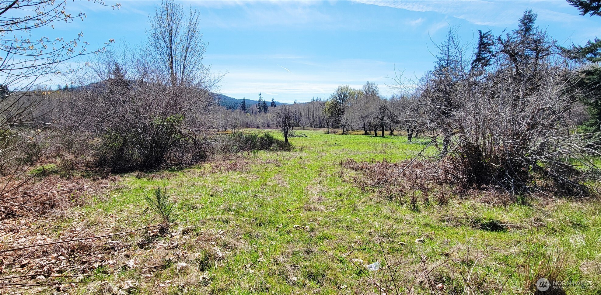 0 West Cloquallum Road Shelton, WA 98584 - Photo 2 of 4