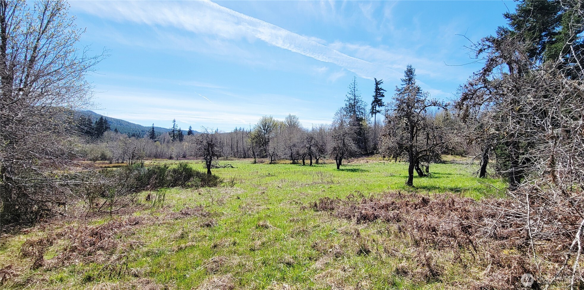 0 West Cloquallum Road Shelton, WA 98584 - Photo 4 of 4