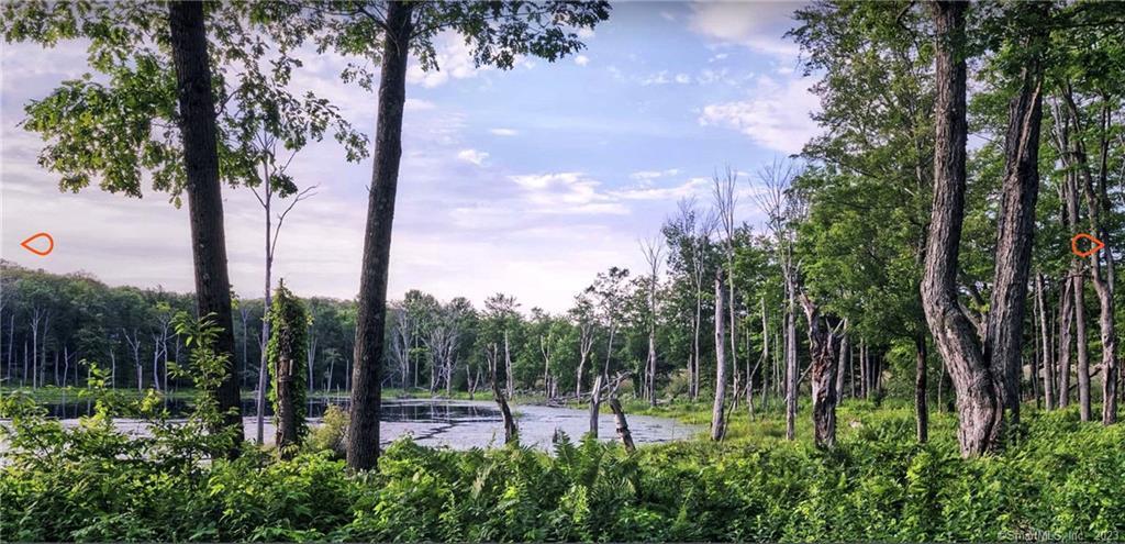 8 Chester Road Warren, CT 06754 - Photo 23 of 28 a view of a park