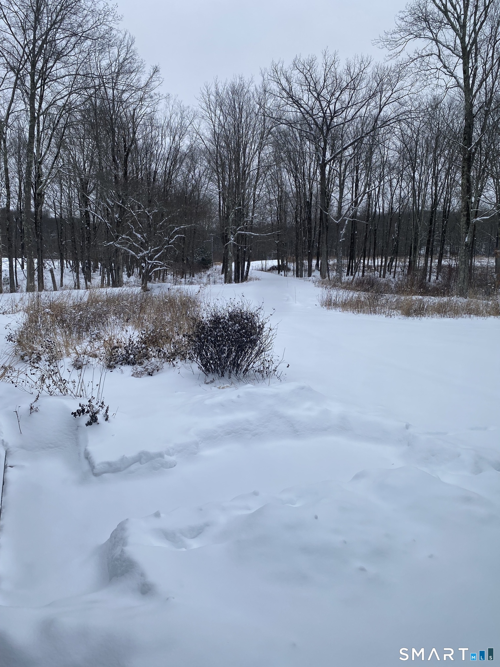 8 Chester Road Warren, CT 06754 - Photo 26 of 28 a view of covered with snow in yard
