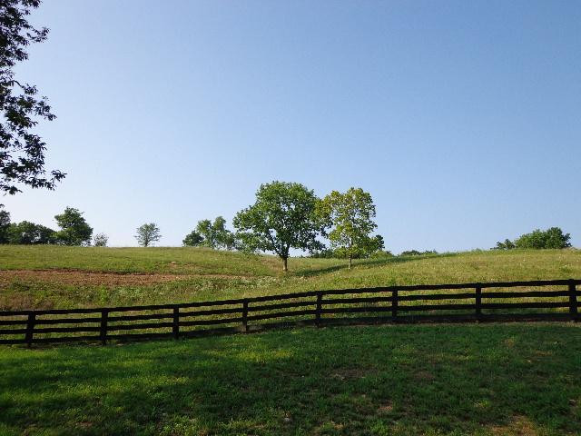 374 Goodpaster Cemetary Road Owingsville, KY 40360 - Photo 25 of 39 Photo 25
