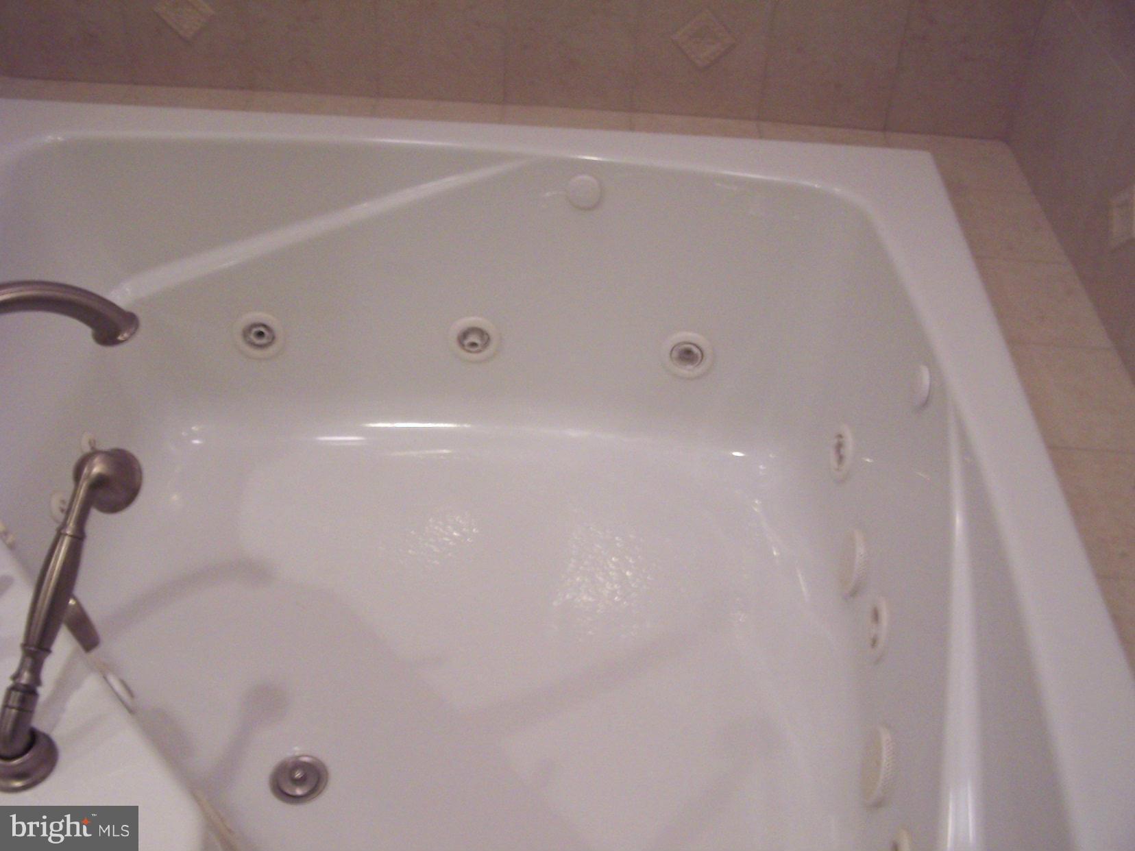 1079 Mountain View Road Fredericksburg, VA 22406 - Photo 18 of 30 Jetted Tub in Master
