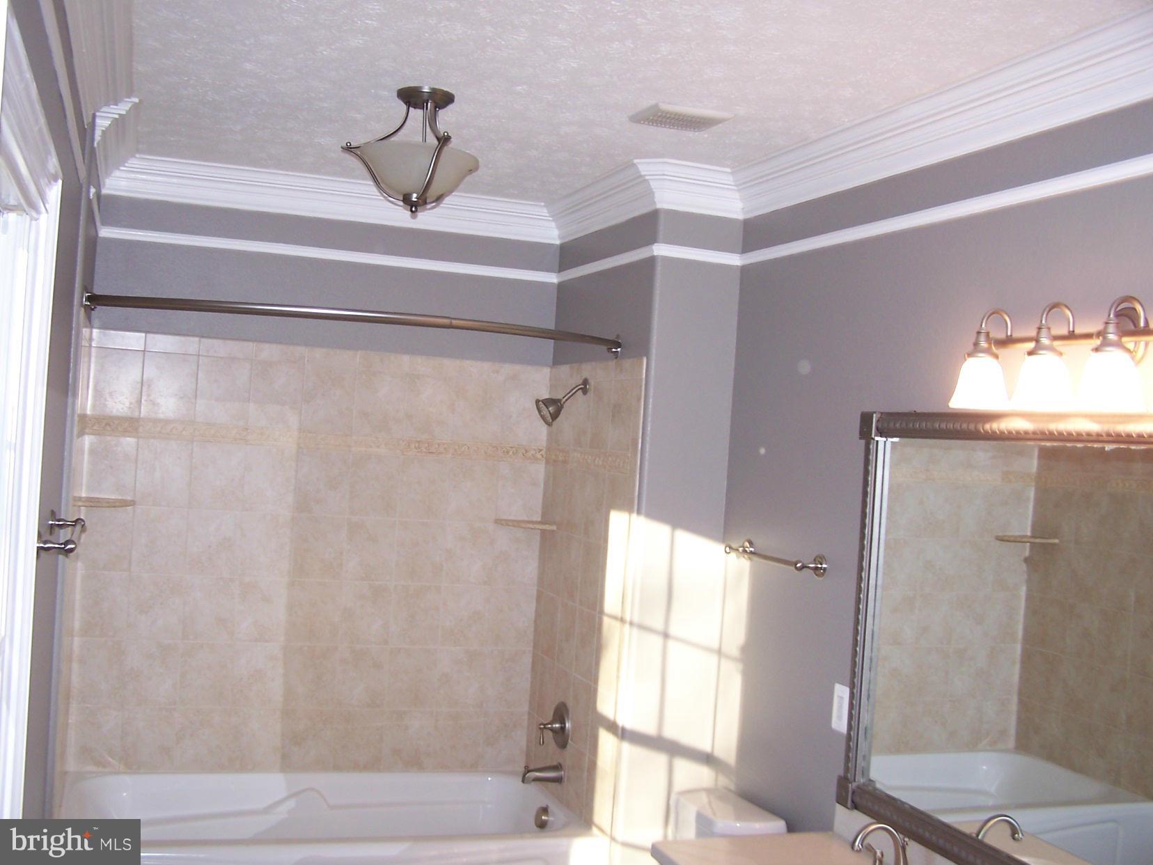1079 Mountain View Road Fredericksburg, VA 22406 - Photo 28 of 30 2nd Master bath
