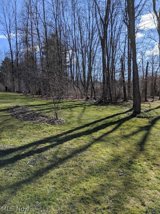 18507 Ridge Road North Royalton, OH 44133 - Photo 9 of 29