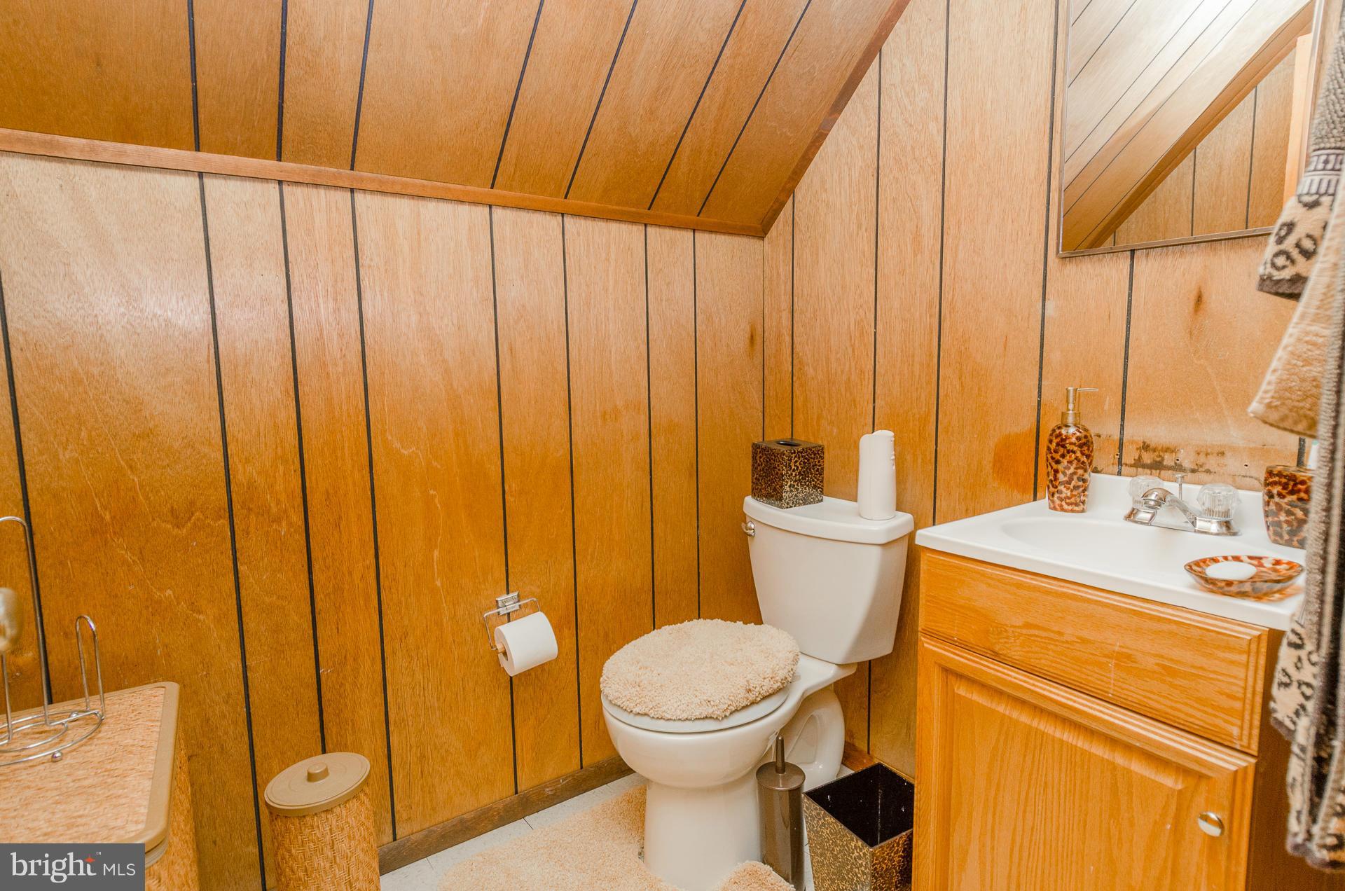 3522 Wild Cherry Road Baltimore, MD 21244 - Photo 19 of 30 a bathroom with a sink a toilet and shower curtain