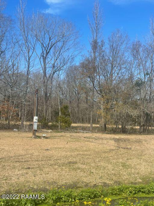 Tbd Tbd Sandra Lee Road, Unit LOT 16 Opelousas, LA 70570 - Photo 3 of 4