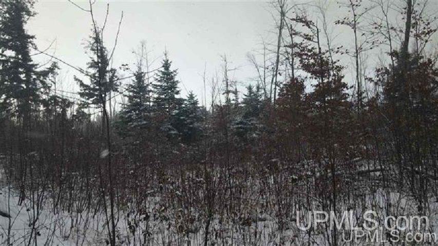 1787 Co Road Shingleton, MI 49884 - Photo 2 of 4