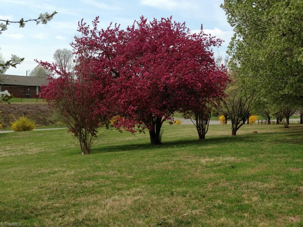 1490 McKinney Road Mount Airy, NC 27030 - Photo 28 of 30 Gallery Image 28