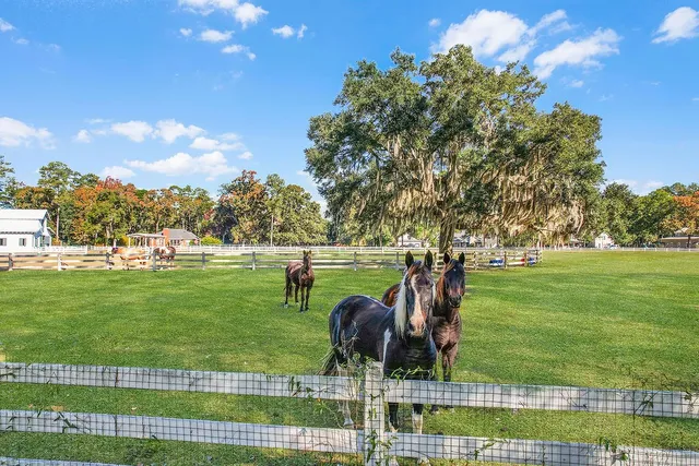 $569,000 | 1069 Fair Hope Drive Northeast, Townsend, GA 31331