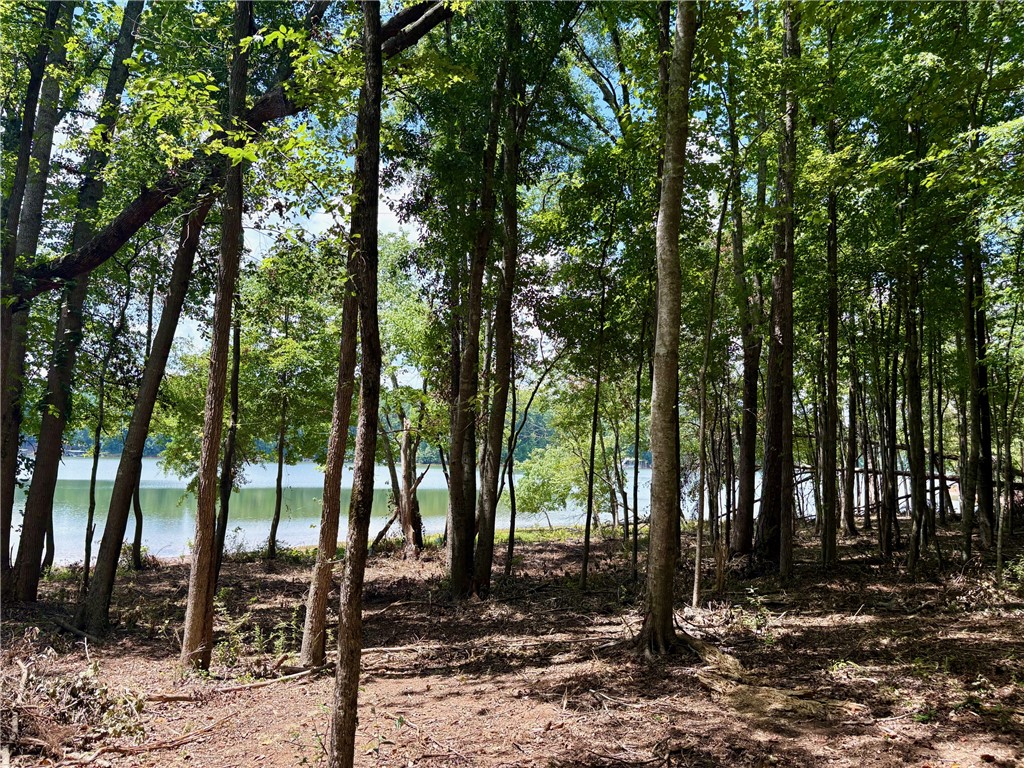 Lot 4 Little Creek Road Anderson, SC 29621 - Photo 8 of 8 Gallery Image 8