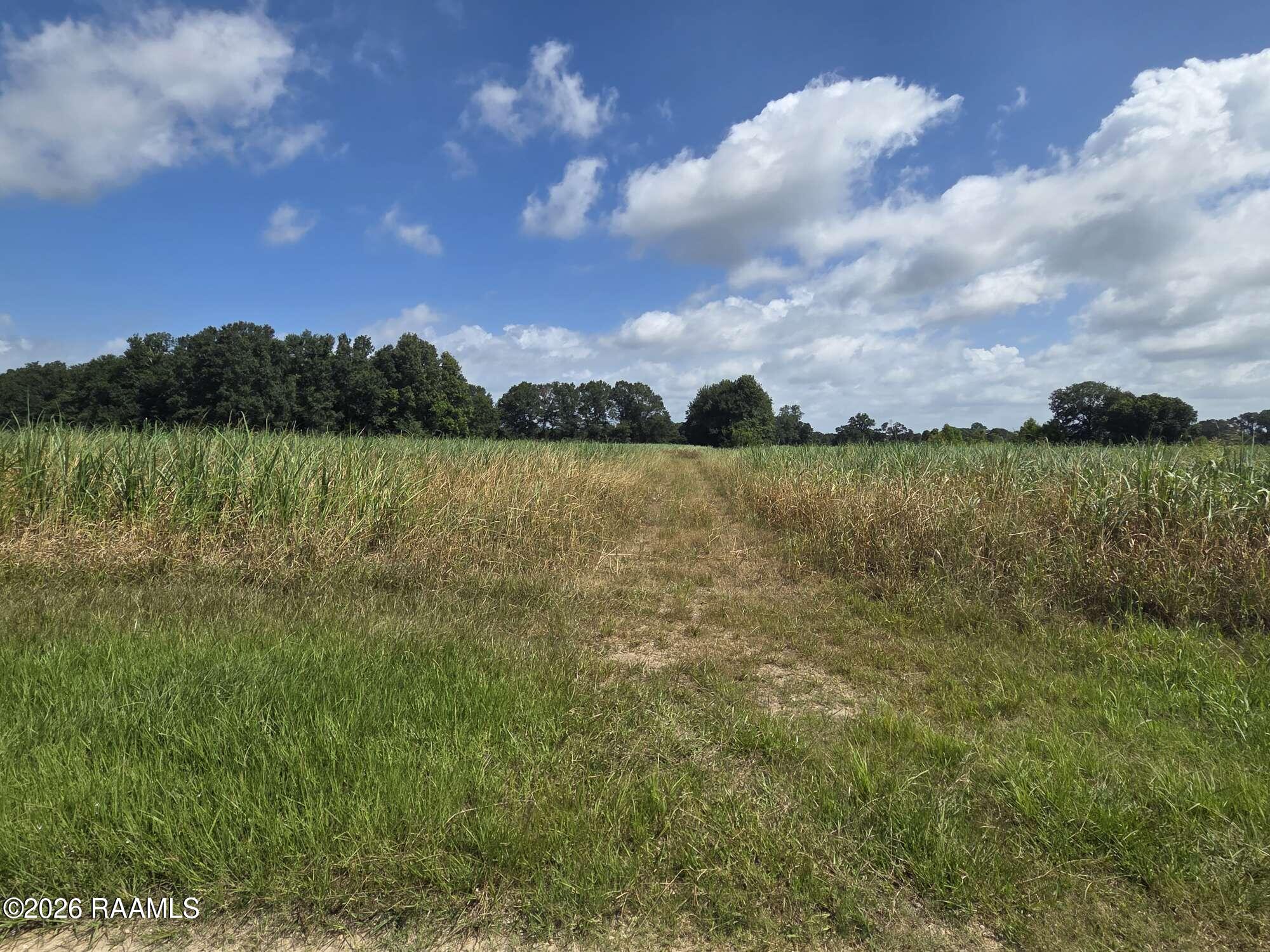 410 Roy Guidry Road Youngsville, LA 70592 - Photo 3 of 4 Compress_20260619_114443_3094