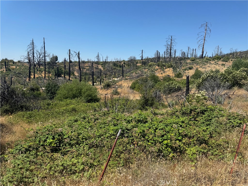 0 Sierra View Loop Berry Creek, CA 95916 - Photo 2 of 5 a view of a city with lush green forest
