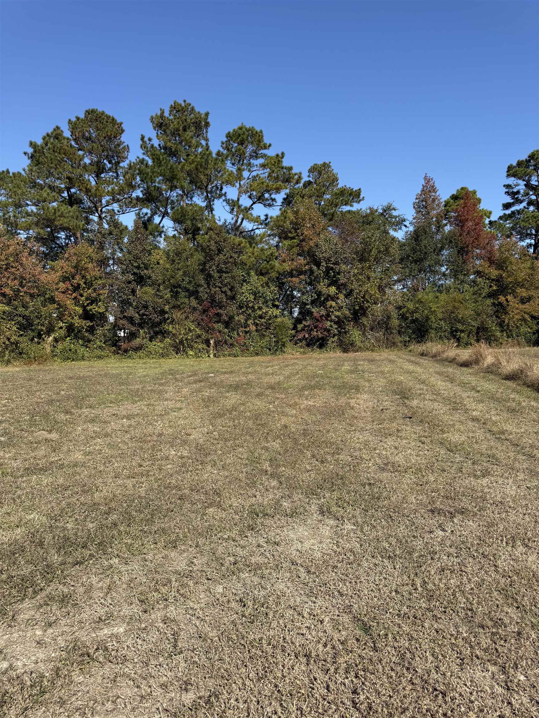 111 Quigley Place Aynor, SC 29544 - Photo 3 of 7