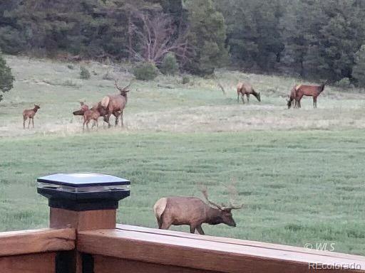 1850 Cody Park Road Cotopaxi, CO 81223 - Photo 27 of 29