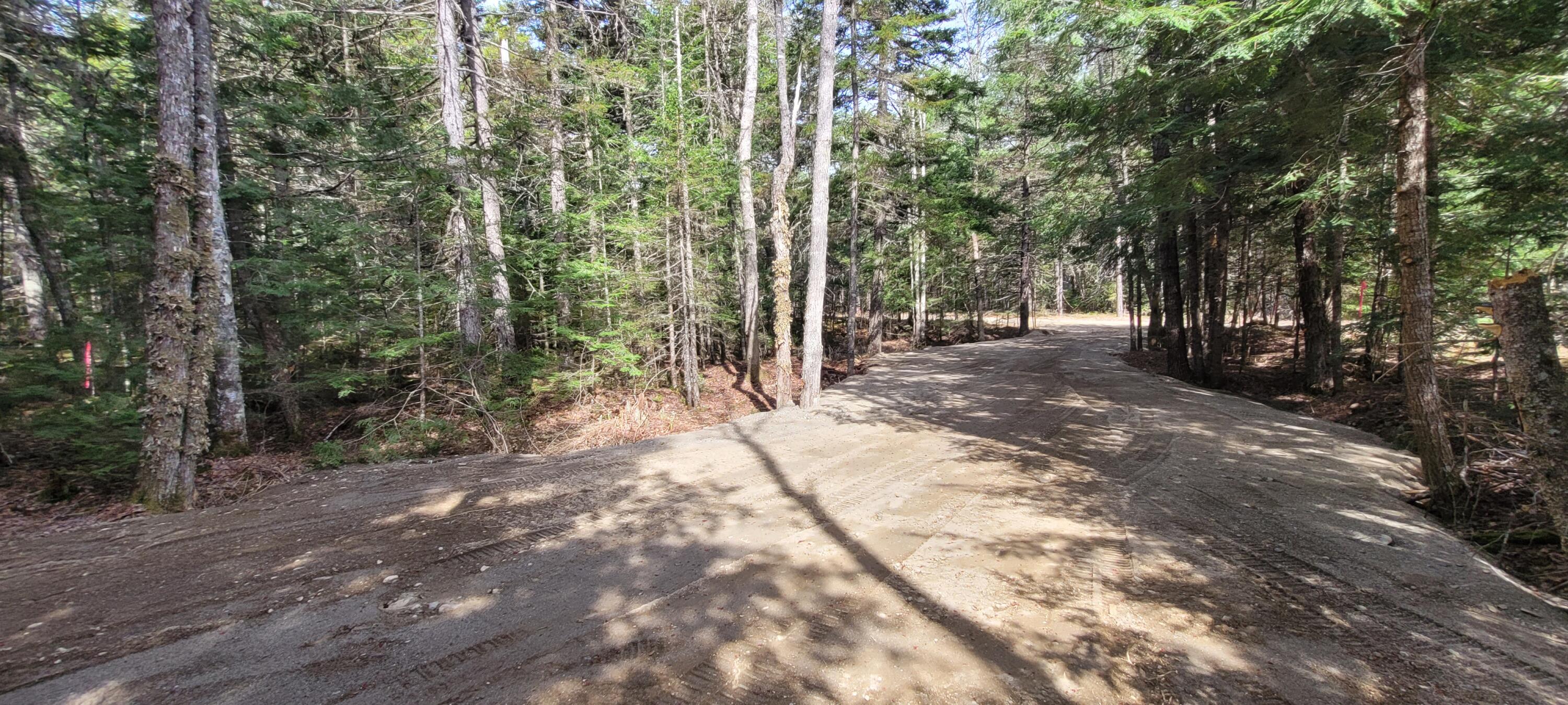 135 Silsby Road Mariaville, ME 04605 - Photo 8 of 12 20240508_092520