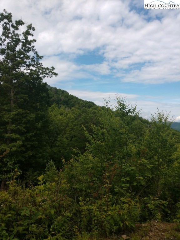 Tdb Rash School Road Creston, NC 28615 - Photo 2 of 16 Gallery Image 2