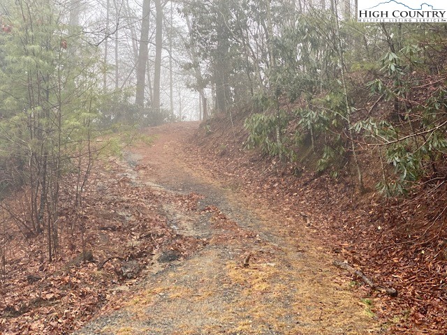 Tdb Rash School Road Creston, NC 28615 - Photo 3 of 16 Gallery Image 3
