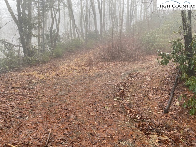 Tdb Rash School Road Creston, NC 28615 - Photo 5 of 16 Gallery Image 5