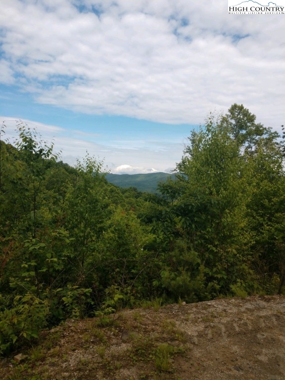 Tdb Rash School Road Creston, NC 28615 - Photo 6 of 16 Gallery Image 6