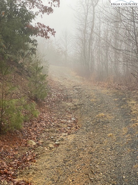 Tdb Rash School Road Creston, NC 28615 - Photo 8 of 16 Gallery Image 8