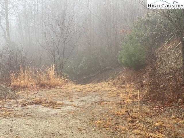 Tdb Rash School Road Creston, NC 28615 - Photo 10 of 16 Gallery Image 10
