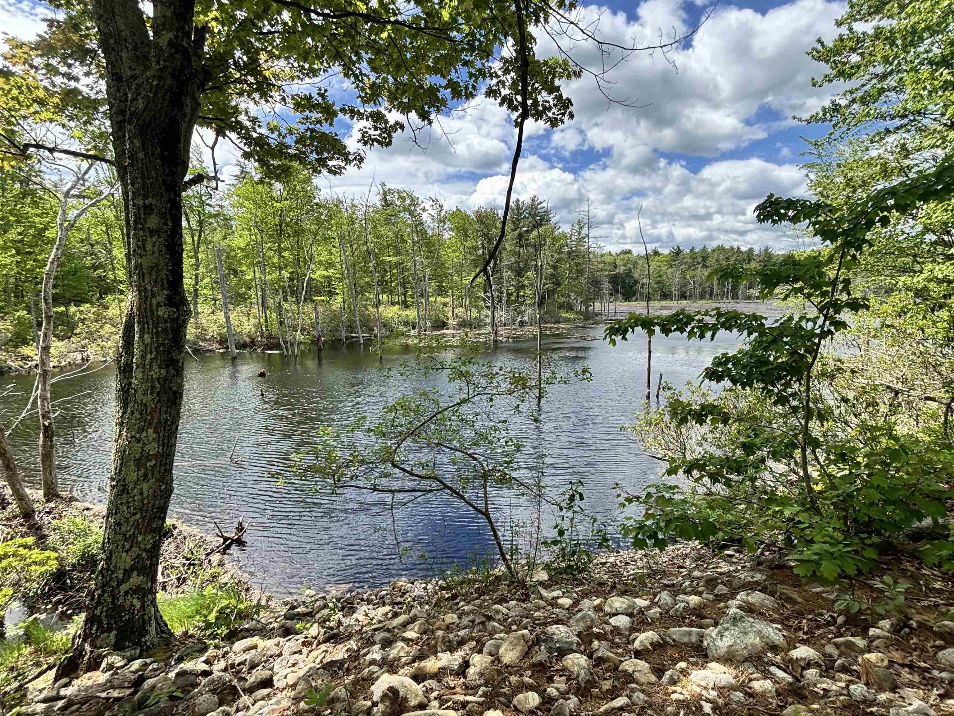 182 Perry Road New Ipswich, NH 03071 - Photo 28 of 40