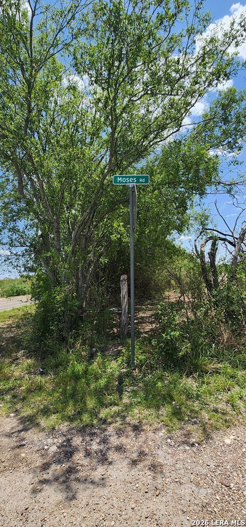 1542 Moses Road Quemado, TX 78877 - Photo 8 of 8