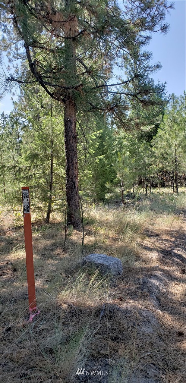 50 Lookout Trail Riverside, WA 98849 - Photo 11 of 15 Gallery Image 11