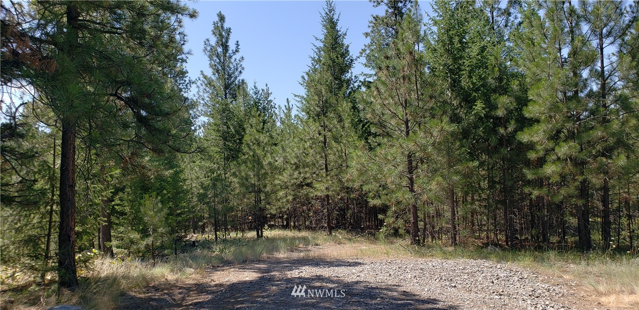 50 Lookout Trail Riverside, WA 98849 - Photo 12 of 15 Gallery Image 12