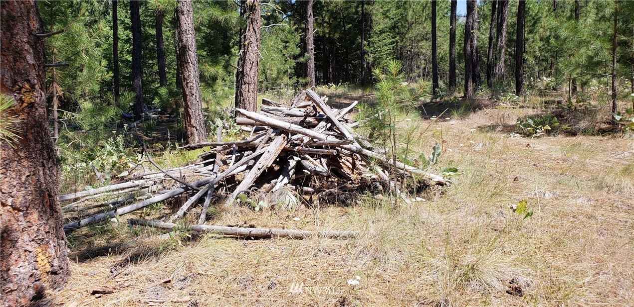 50 Lookout Trail Riverside, WA 98849 - Photo 13 of 15 Gallery Image 13