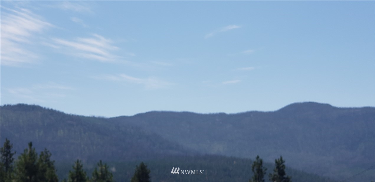 50 Lookout Trail Riverside, WA 98849 - Photo 14 of 15 Gallery Image 14