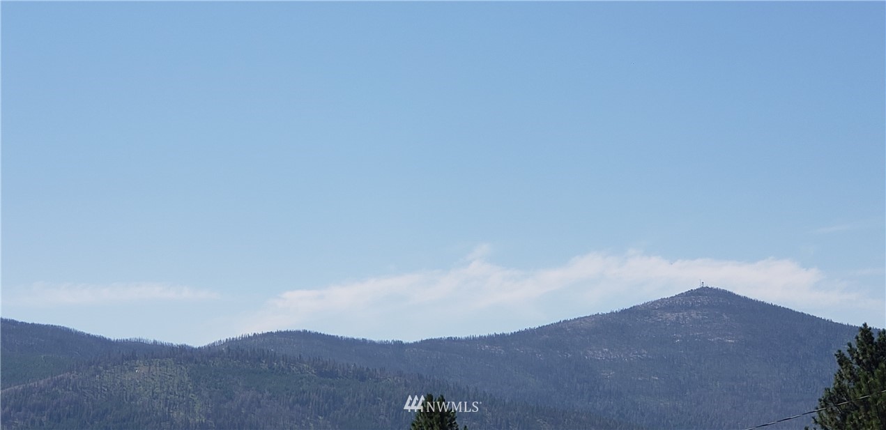 50 Lookout Trail Riverside, WA 98849 - Photo 15 of 15 Gallery Image 15