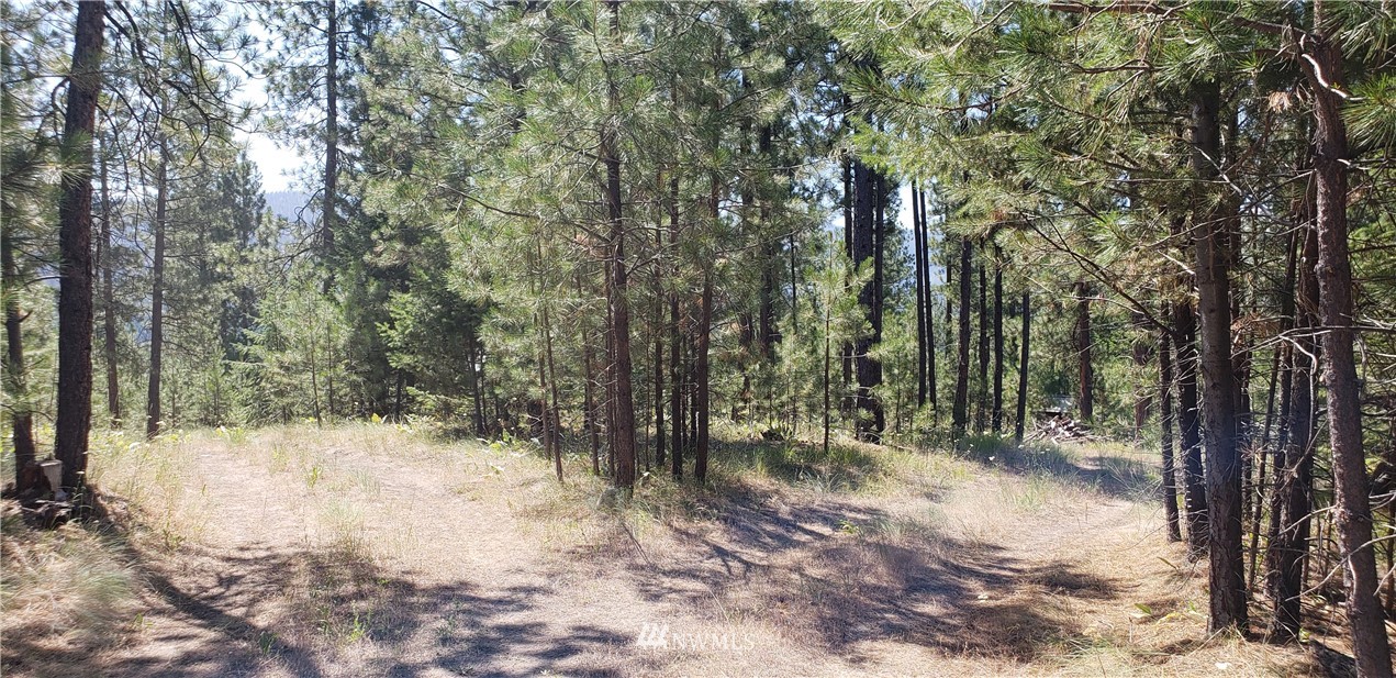 50 Lookout Trail Riverside, WA 98849 - Photo 3 of 15 Gallery Image 3