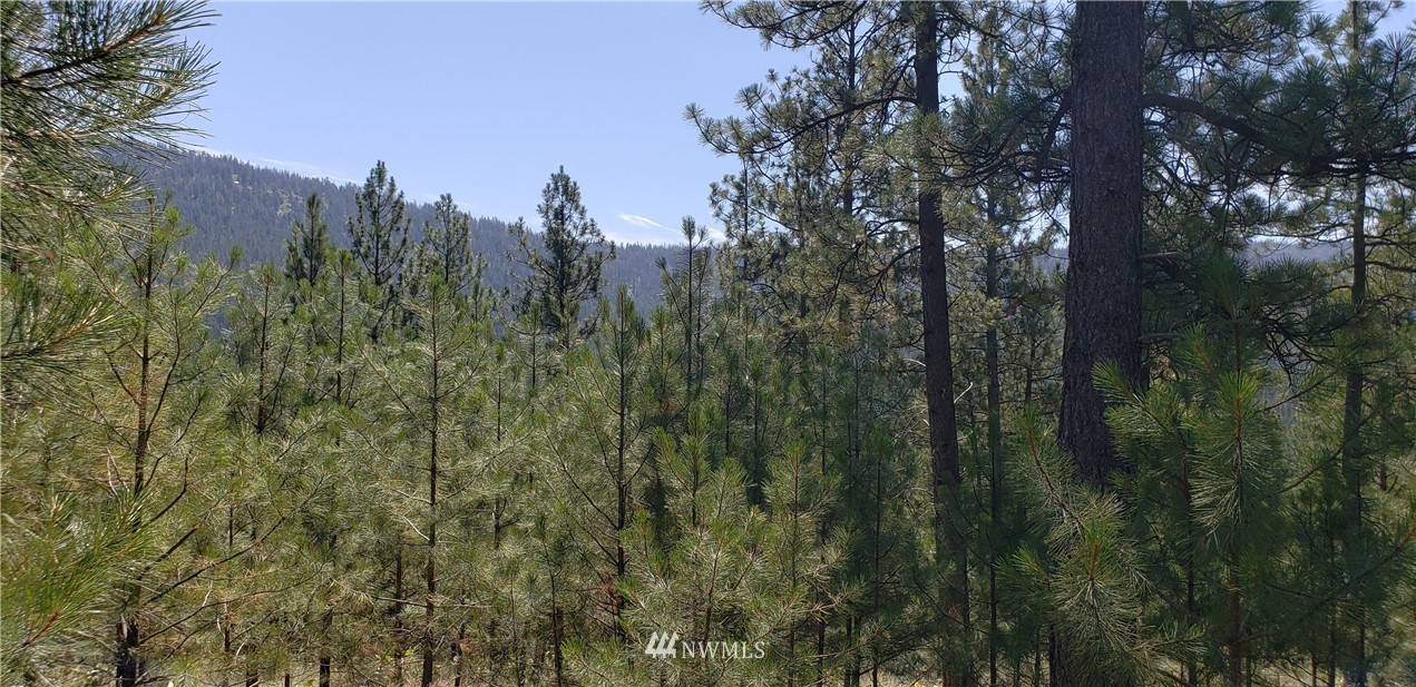 50 Lookout Trail Riverside, WA 98849 - Photo 9 of 15 Gallery Image 9