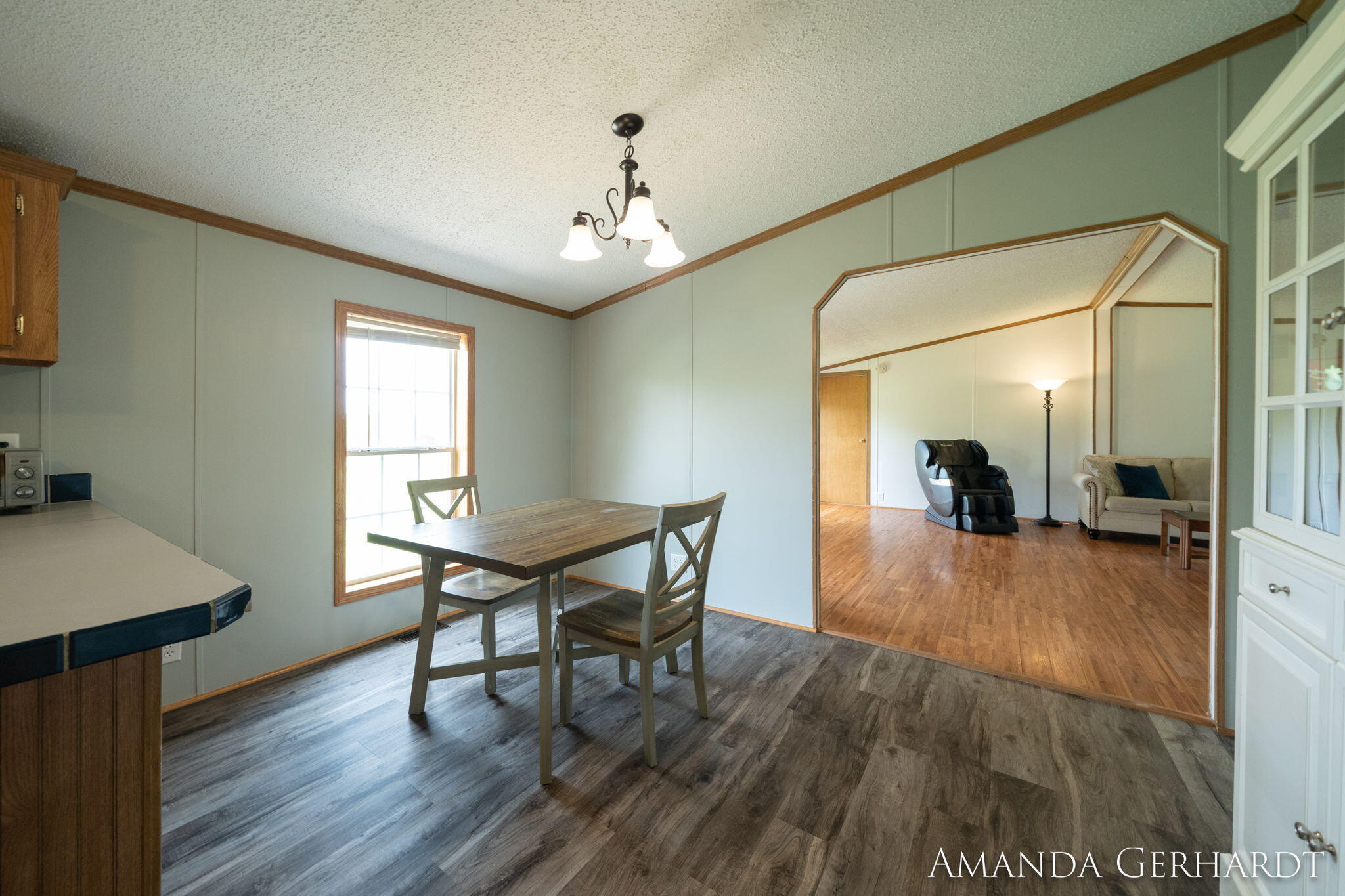 9913 Button Road Belding, MI 48809 - Photo 7 of 28 DINING AREA