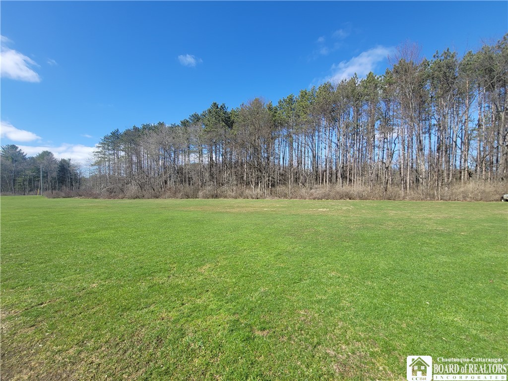 Cherry Street Frewsburg, NY 14738 - Photo 4 of 9