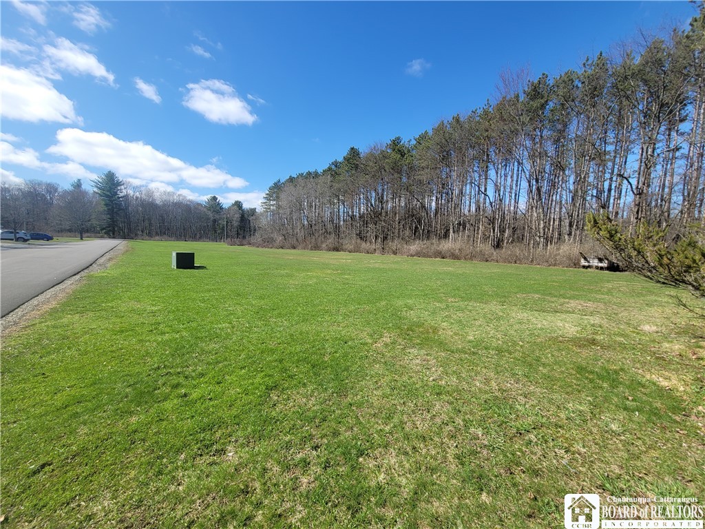 Cherry Street Frewsburg, NY 14738 - Photo 6 of 9