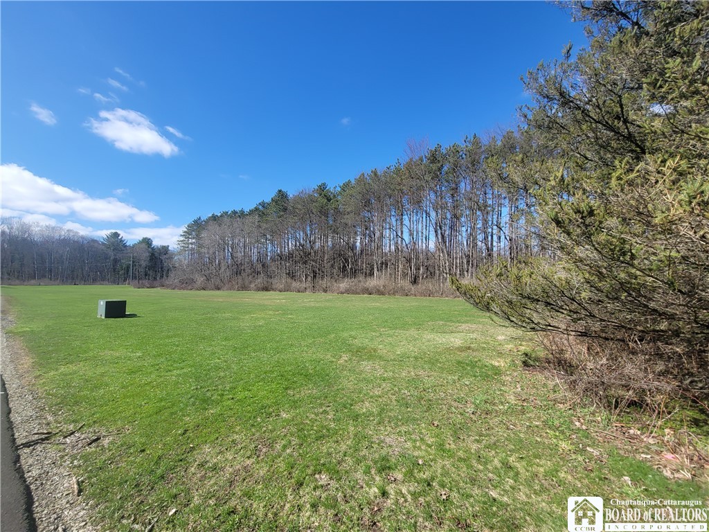 Cherry Street Frewsburg, NY 14738 - Photo 7 of 9