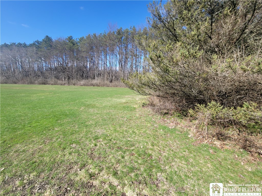 Cherry Street Frewsburg, NY 14738 - Photo 9 of 9