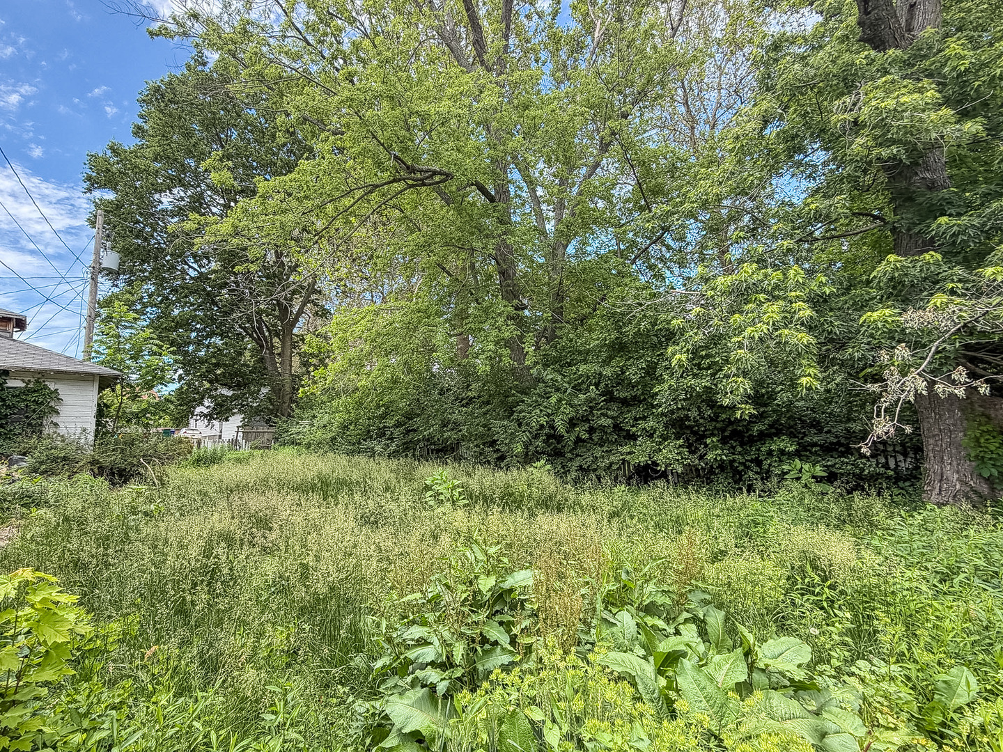 463 South Monroe Street Decatur, IL 62522 - Photo 25 of 26