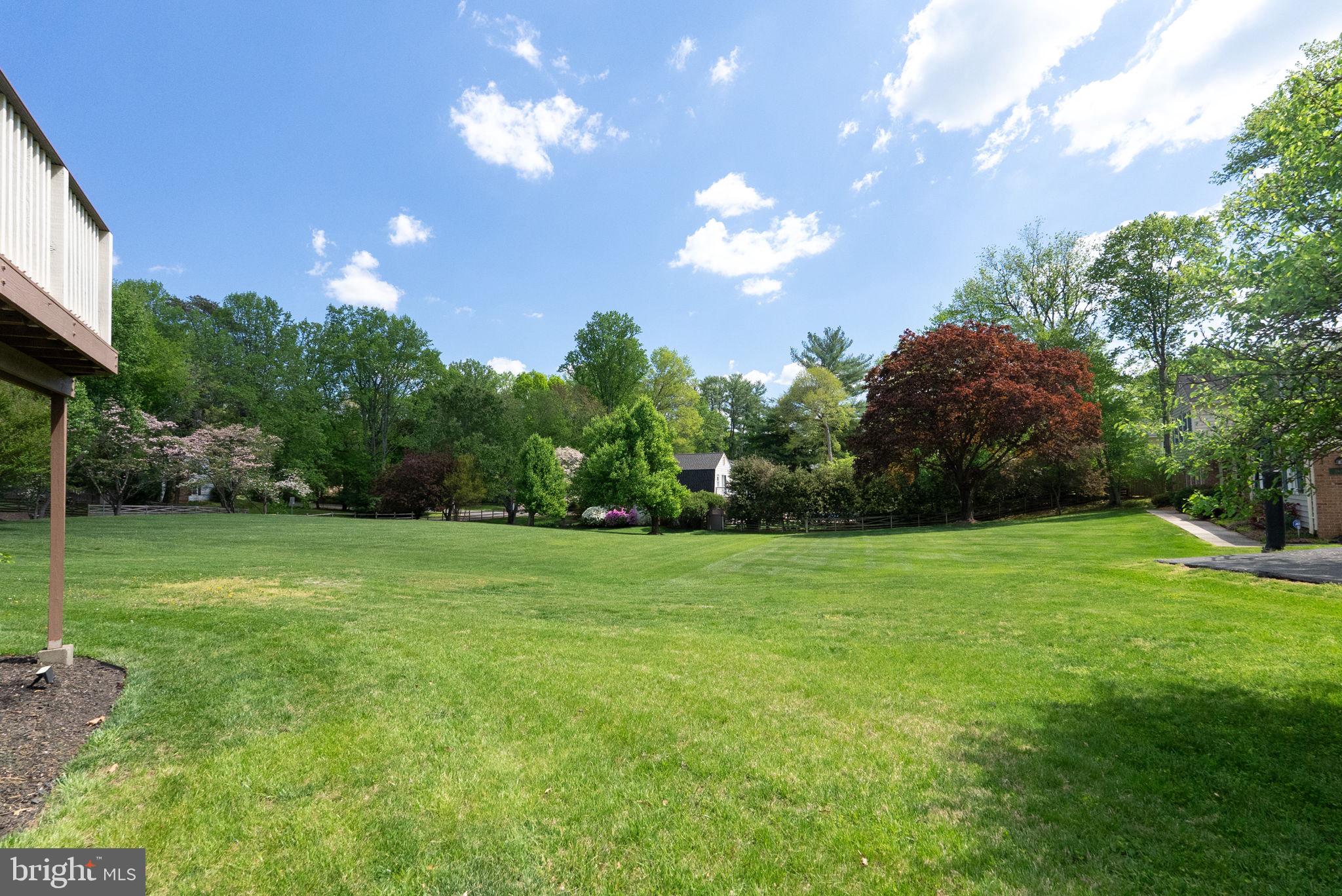 2935 Miller Heights Road Oakton, VA 22124 - Photo 47 of 56 Spacious green oasis under blue skies.